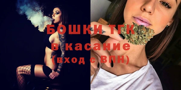 Альфа ПВП Ельня