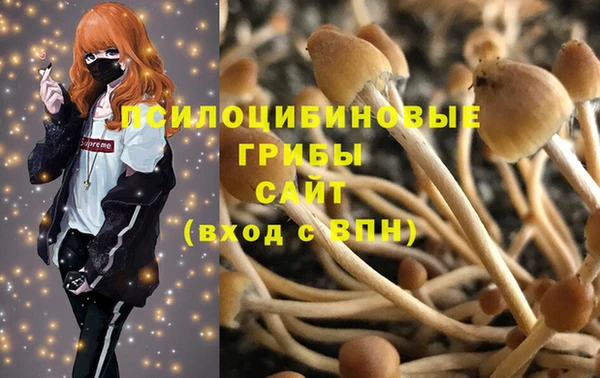 Альфа ПВП Ельня