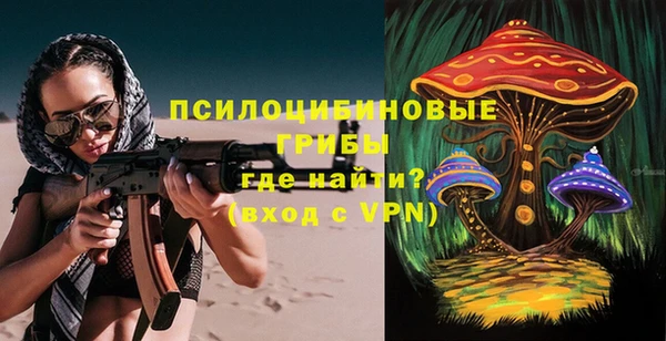 Альфа ПВП Ельня