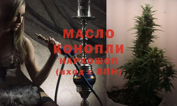 индика Краснотурьинск