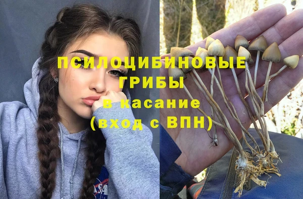 Альфа ПВП Ельня